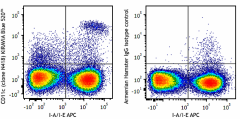 KIRAVIA Blue 520™ anti-mouse CD11c Antibody (117363)