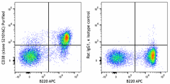 Purified anti-mouse CD38 Antibody (116902)