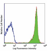 Purified anti-mouse CD90.2 (Thy1.2) Antibody (105301)