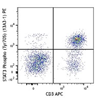 PE anti-STAT3 Phospho (Tyr705) Antibody (651003)