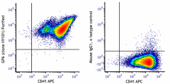 Purified anti-human GP6 Antibody (383802)