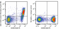 Alexa Fluor® 700 anti-mouse CD21/CD35 (CR2/CR1) Antibody (123431)