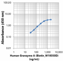 Biotin anti-human Granzyme A Antibody (617253)