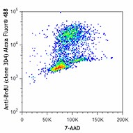 Alexa Fluor® 488 anti-BrdU Antibody (364105)