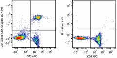 Spark YG™ 593 anti-mouse CD4 Antibody (100487)