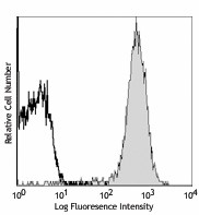 PE anti-mouse CD2 Antibody (100107)
