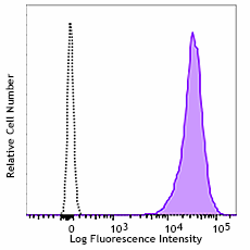 Purified anti-mouse Podoplanin Antibody (156202)