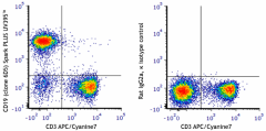 Spark PLUS UV395™ anti-mouse CD19 Antibody (115587)