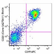 Biotin anti-mouse CD20 Antibody (150414)