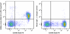 APC/Cyanine7 anti-mouse CD66a (CEACAM1a) Antibody (134539)