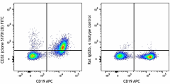 FITC anti-mouse CD32 (Fcgr2) Antibody (156407)