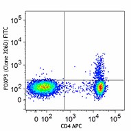 FITC anti-human FOXP3 Antibody (320105)