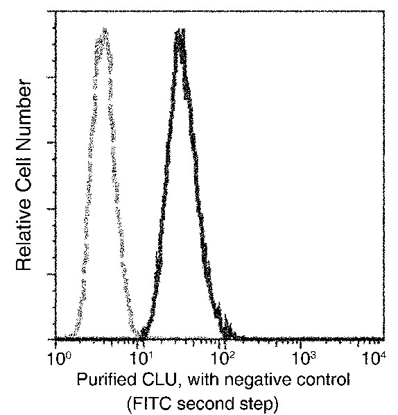 Recombinant Clusterin/Apolipoprotein J/Apo-J Monoclonal Antibody (AN300045P)