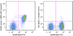 APC/Cyanine7 anti-mouse CD185 (CXCR5) Antibody (145525)