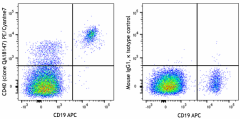 PE/Cyanine7 anti-human CD40 Recombinant Antibody (325807)