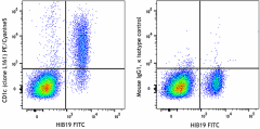 PE/Cyanine5 anti-human CD1c Antibody (331553)