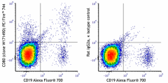 PE/Fire™ 744 anti-human CD80 Antibody (375413)