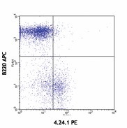 PE anti-mouse CD155 (PVR) Antibody (132205)