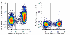 Brilliant Violet 510™ anti-mouse CD1d (CD1.1, Ly-38) Antibody (123537)