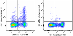 PE anti-mouse CD25 Recombinant Antibody (162103)