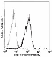 PE anti-mouse CD121a (IL-1 R, Type I/p80) Antibody (113505)