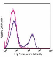 PE/Cyanine7 anti-mouse CD90.2 (Thy1.2) Antibody (140309)