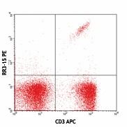 PE anti-mouse TCR Vβ11 Antibody (139003)