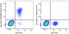 Pacific Blue™ anti-human IgD Antibody (307825)