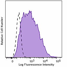 PE anti-EGFR Phospho (Tyr845) Recombinant Antibody (943403)