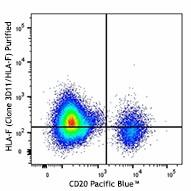 Purified anti-human HLA-F Antibody (373202)