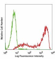 Purified anti-human TRA-1-60-R Antibody (330602)