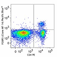 Pacific Blue™ anti-mouse FOXP3 Antibody (126409)