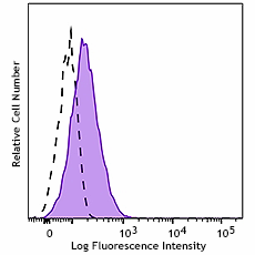 PE anti-mouse CD255 (TWEAK) Antibody (119105)