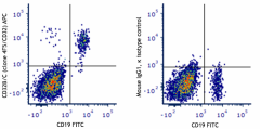 APC anti-human CD32B/C Antibody (398405)