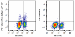 Spark UV™ 387 anti-mouse IFN-γ Antibody (505863)