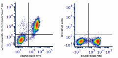 Spark Violet™ 538 anti-mouse I-A/I-E Antibody (107671)
