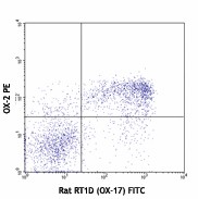 PE anti-rat CD200 Antibody (204807)