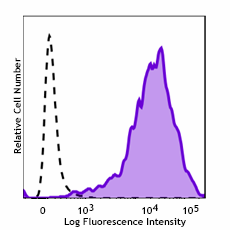 Purified anti-human HLA-G Recombinant Antibody (381802)