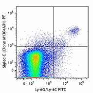 PE anti-Siglec-E Antibody (677103)
