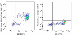 Brilliant Violet 605™ anti-human CD86 Antibody (374213)