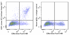 Brilliant Violet 570™ anti-mouse/rat XCR1 Antibody (148247)
