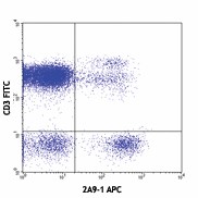 APC anti-human CX3CR1 Antibody (341609)
