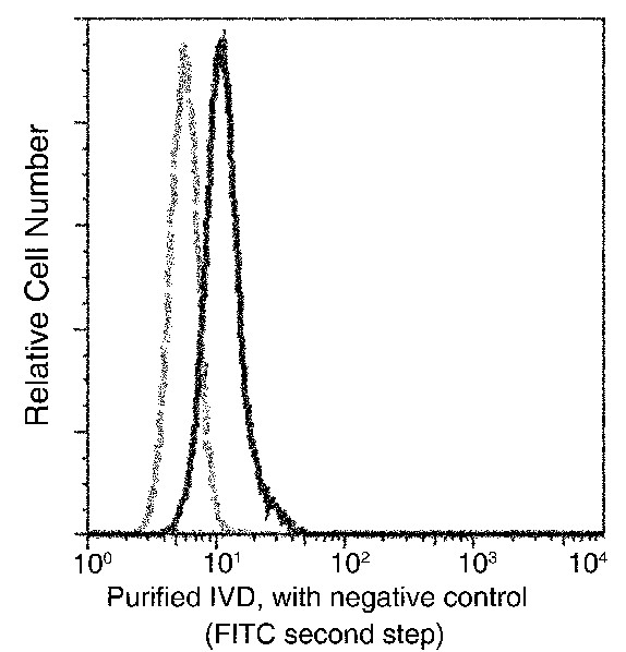 Isovaleryl-CoA dehydrogenase/IVD Monoclonal Antibody (AN200143P)