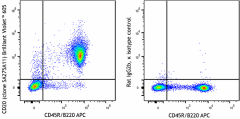 Brilliant Violet™ 605 anti-mouse CD20 Antibody (150435)