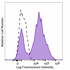 Spark PLUS UV395™ anti-mouse CD107a (LAMP-1) Antibody (121647)