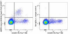 Spark PLUS UV395™ anti-mouse MERTK (Mer) Antibody (151531)