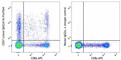 Purified anti-human CD57 Recombinant Antibody (313109)