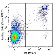 Purified anti-mouse CD71 Antibody (113802)