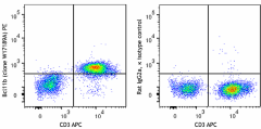 PE anti-human Bcl11b Antibody (384503)