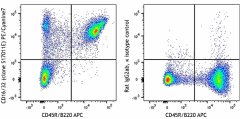 PE/Cyanine7 anti-mouse CD16/32 Antibody (156609)